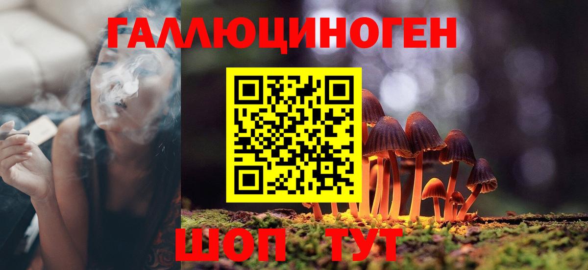 Псилоцибиновые грибы MAGIC MUSHROOMS Гусиноозёрск